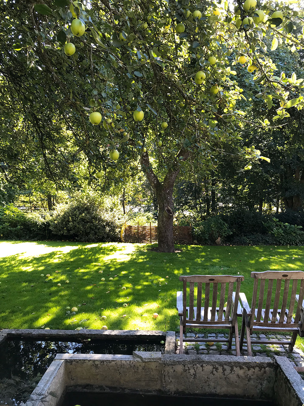 Hotelpension_aahoj_have